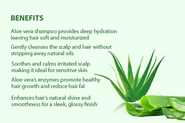 aloe vera shampoo benefits