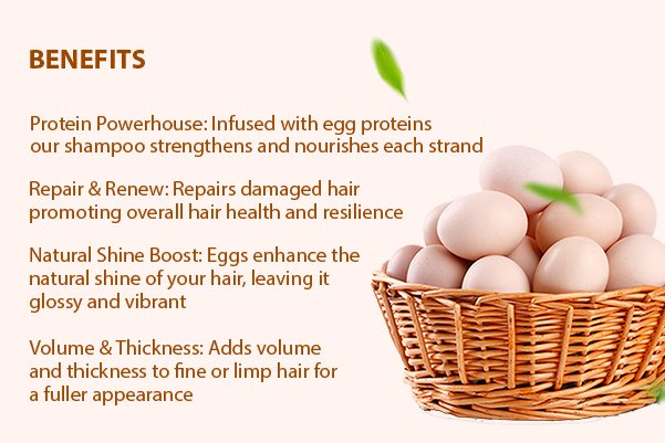 egg shampoo benefits